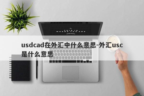 usdcad在外汇中什么意思-外汇usc是什么意思